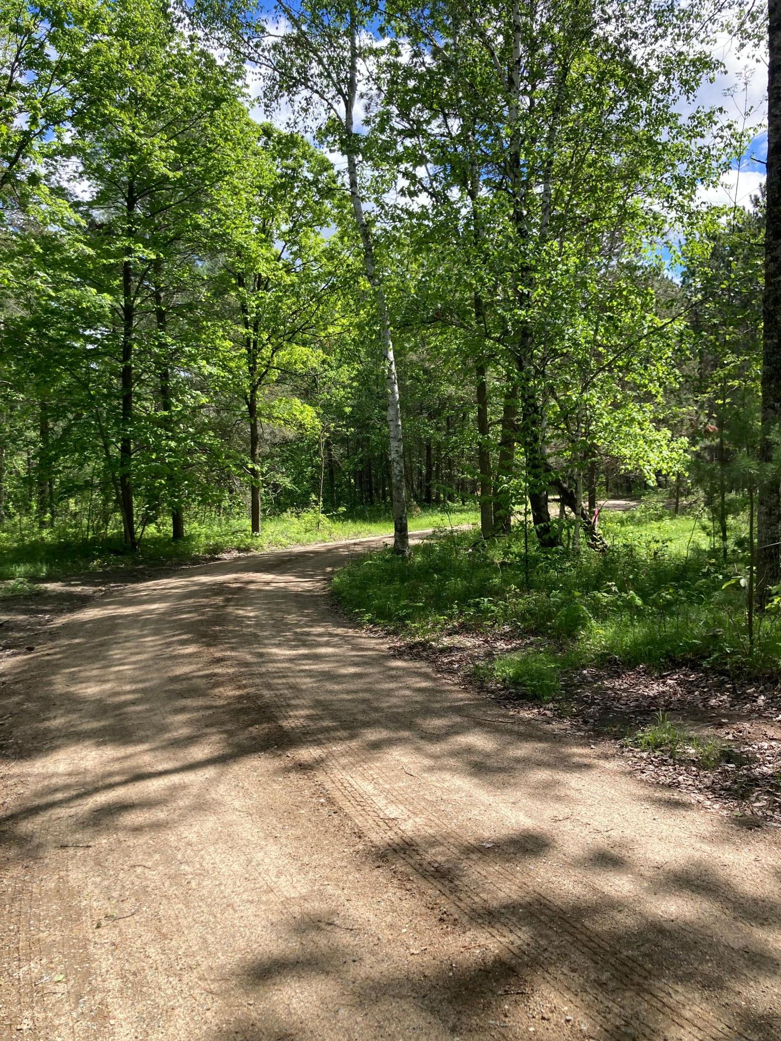 30371 Moonlit Trail, Laporte, Minnesota image 28