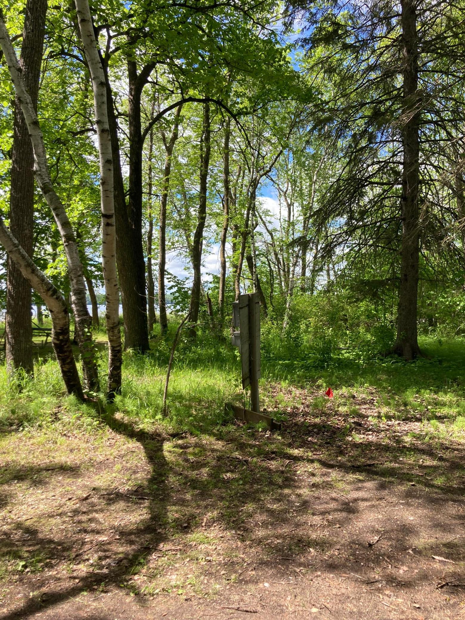 30371 Moonlit Trail, Laporte, Minnesota image 9