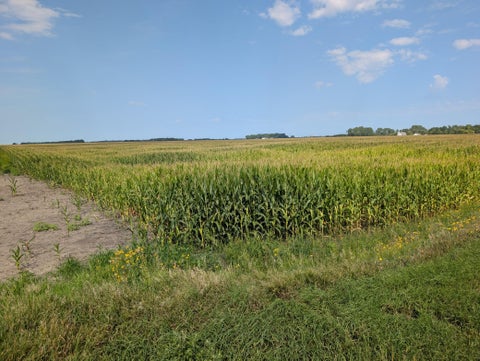 Vacant Land For Sale - 61203 150th St St<br/> Stevens County, Chokio, MN 56221