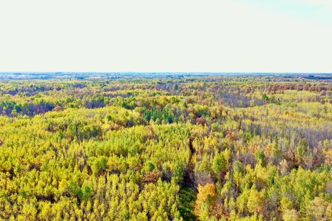 Vacant Land For Sale - NA Na<br/> Barnum, MN 55707