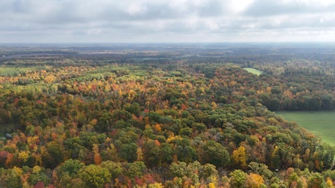 Vacant Land For Sale - TBD Skyview Street<br/> Kanabec County, Brook Park, MN 55007