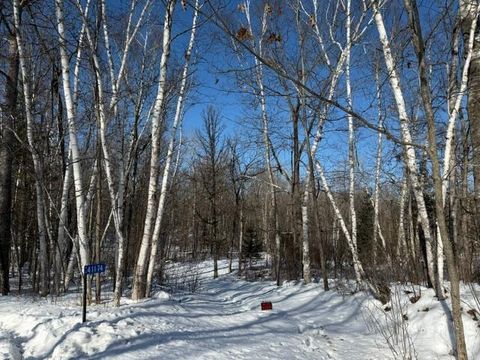 Vacant Land For Sale - 41174 Yellow Birch Lane<br/> Emily, MN 56447