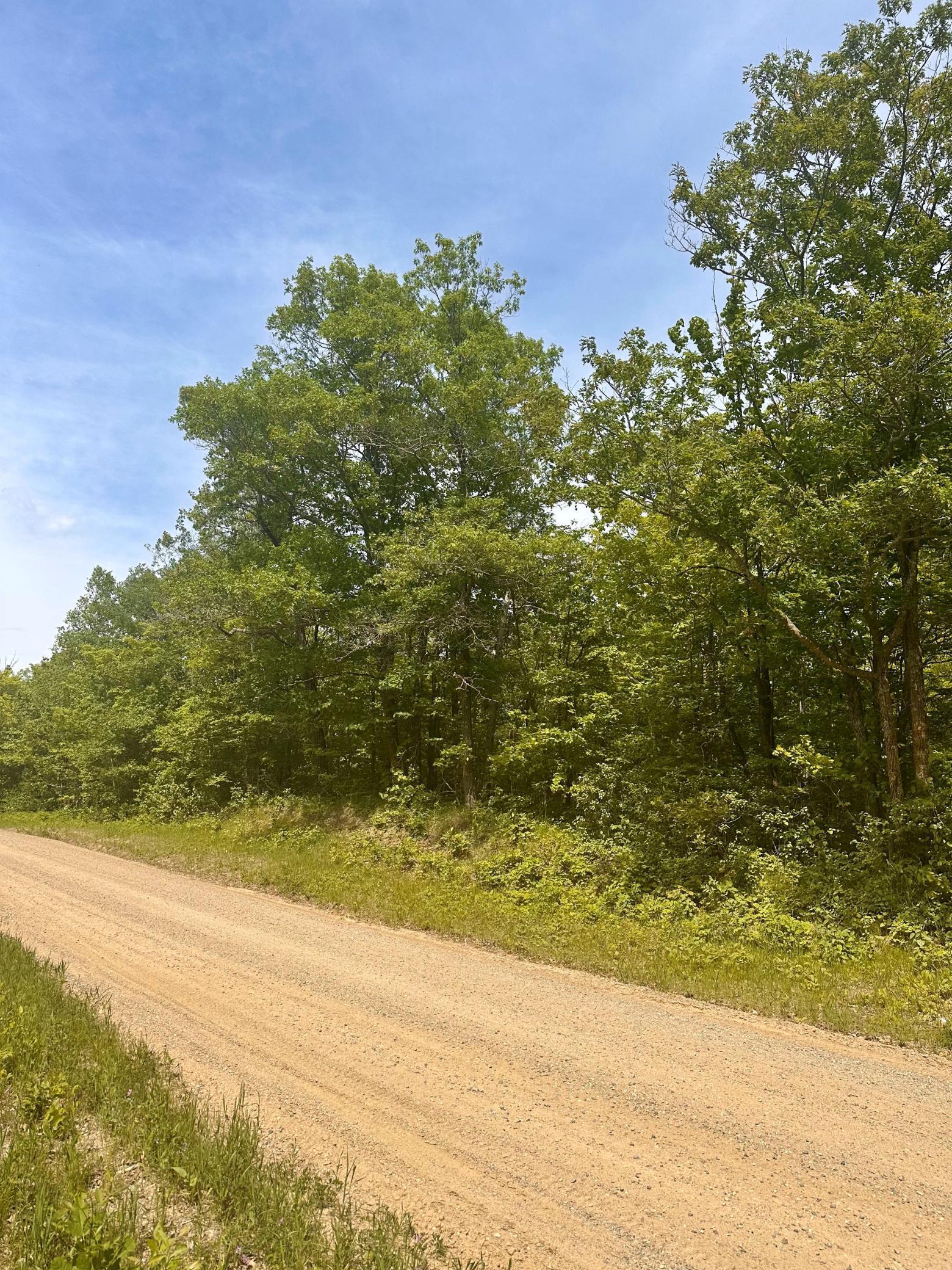 TBD County Road 157, Remer, Minnesota image 3