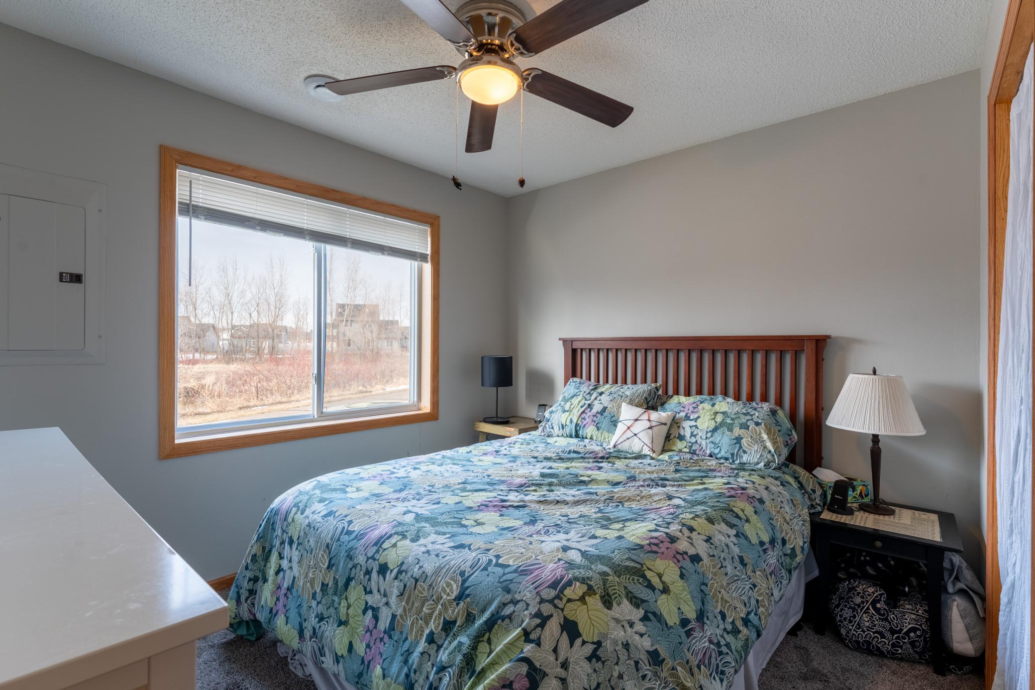 1251 Prairie View Trail, Farmington, Minnesota image 17