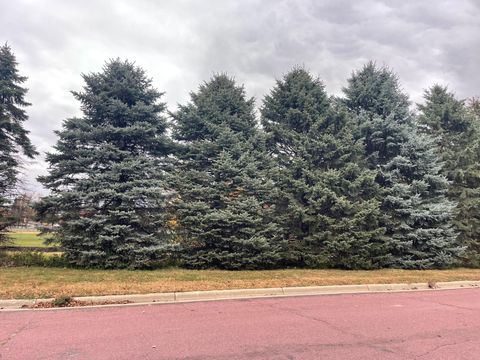 Vacant Land For Sale - 410 Elm Street<br/> Tracy, MN 56175