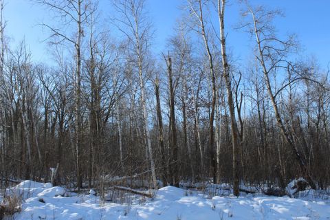 Vacant Land For Sale - 9XXX 200th Street<br/> Milaca, MN 56353