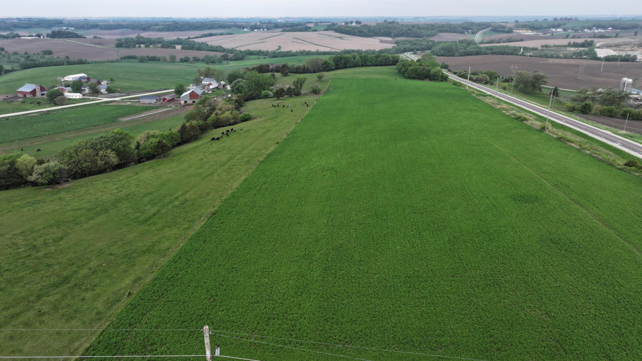 TBD1 County 19, Lanesboro, Minnesota image 2
