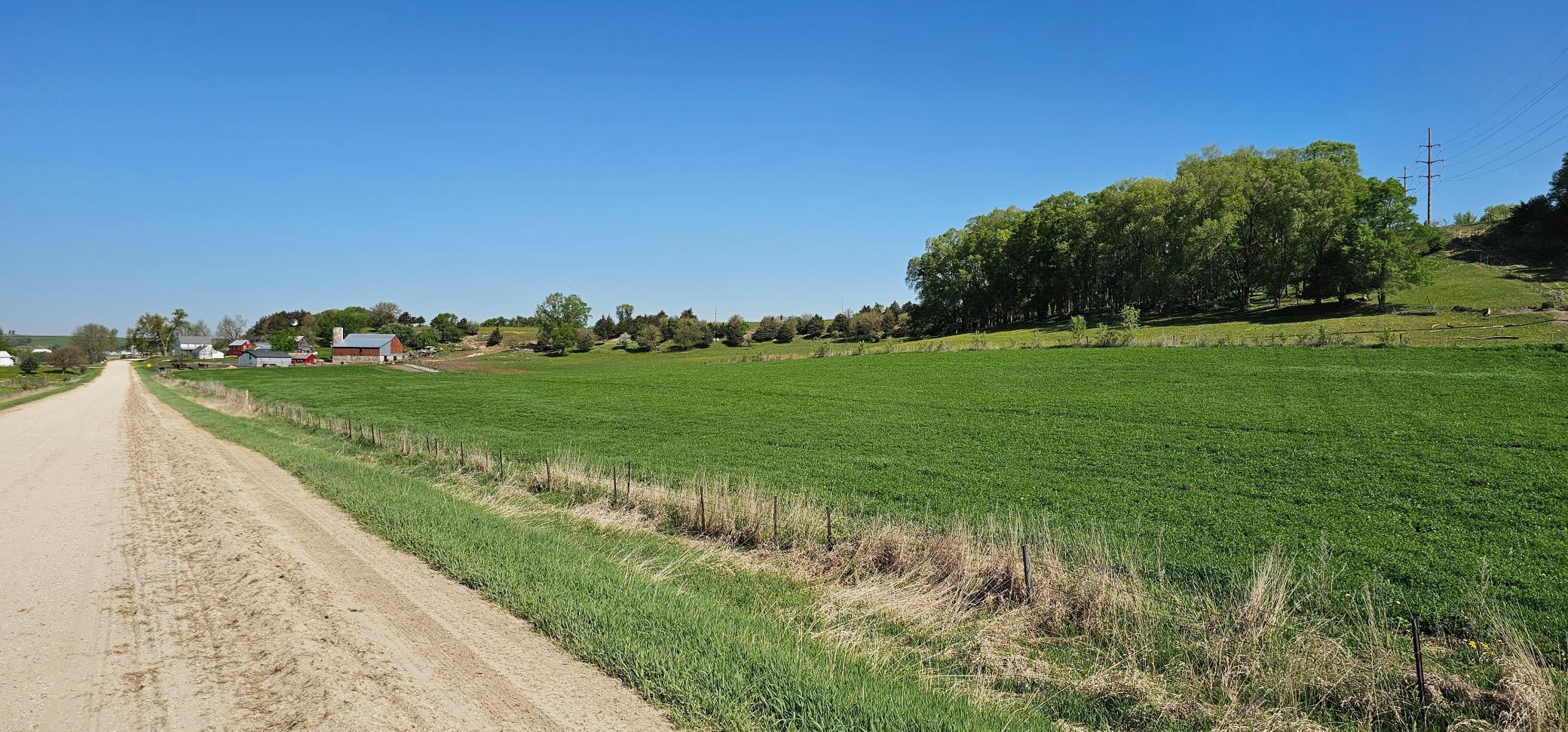 TBD1 County 19, Lanesboro, Minnesota image 6
