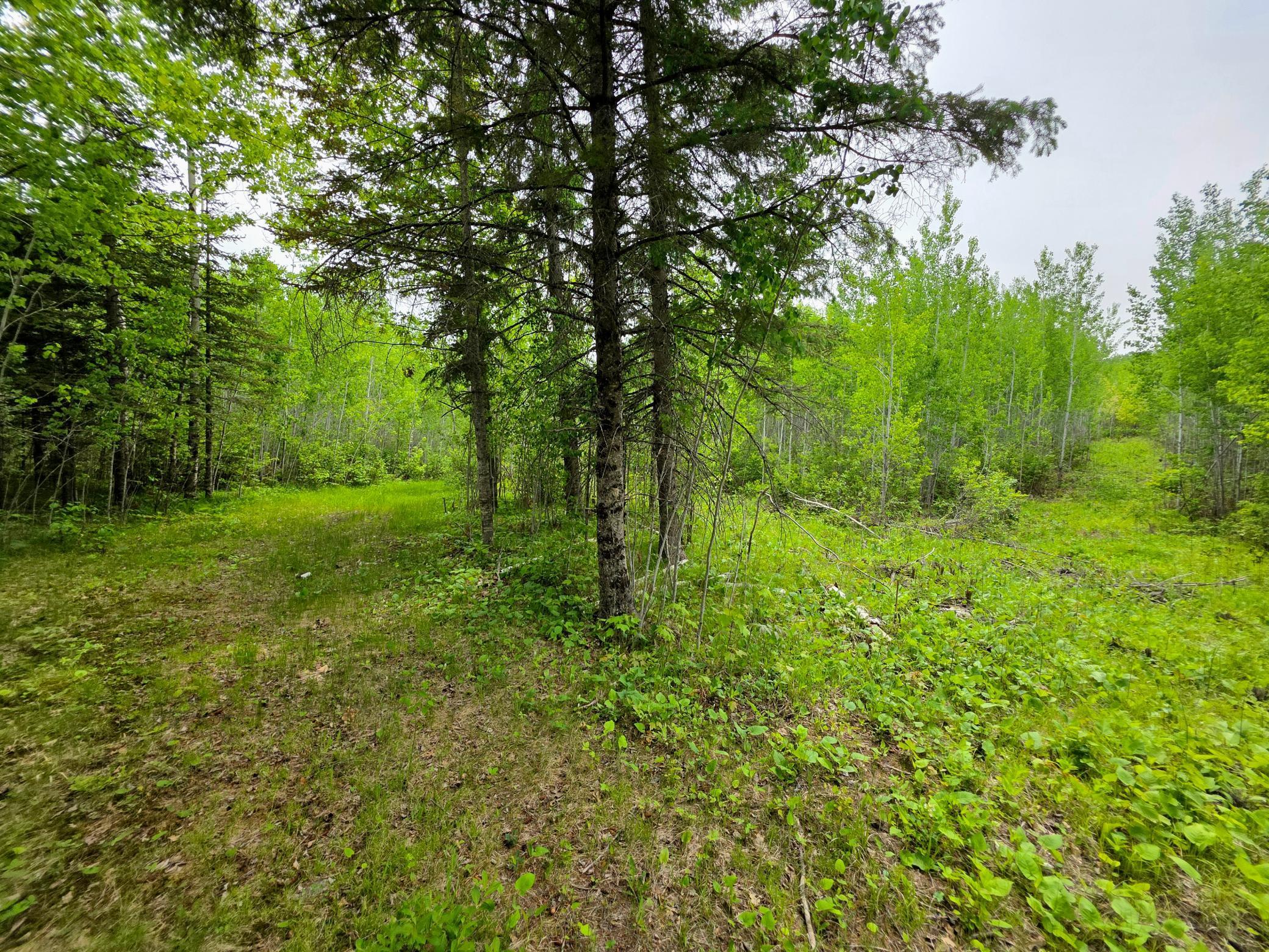 18131 County Road 433, Swan River, Minnesota image 6