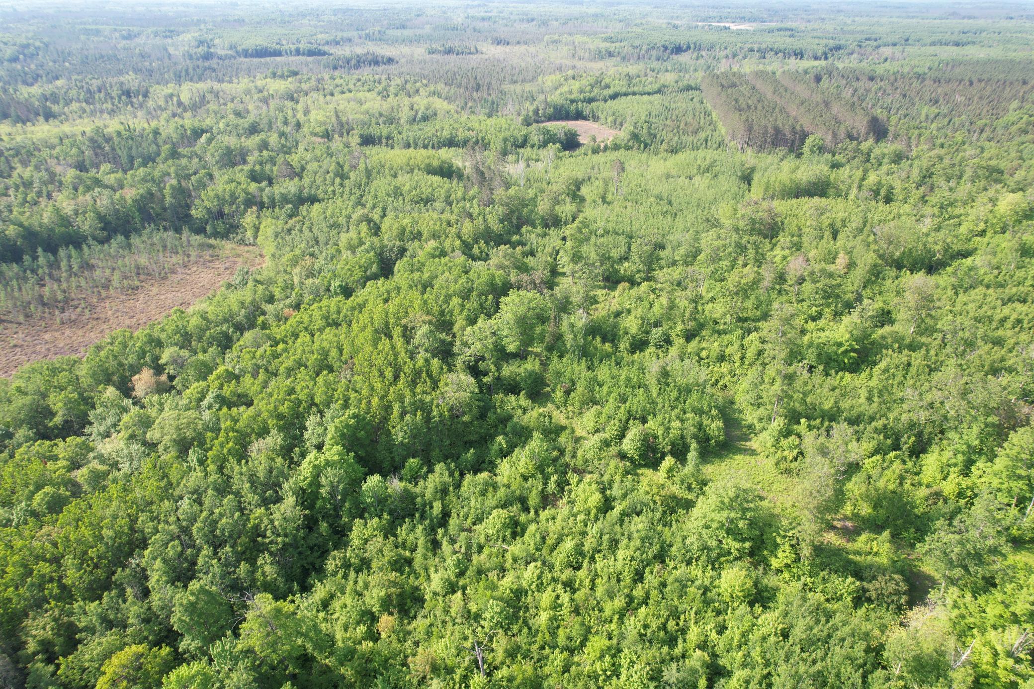 18131 County Road 433, Swan River, Minnesota image 11