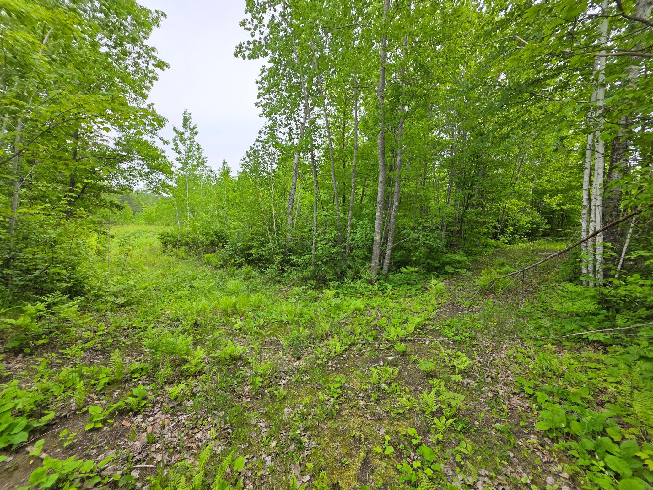 18131 County Road 433, Swan River, Minnesota image 8