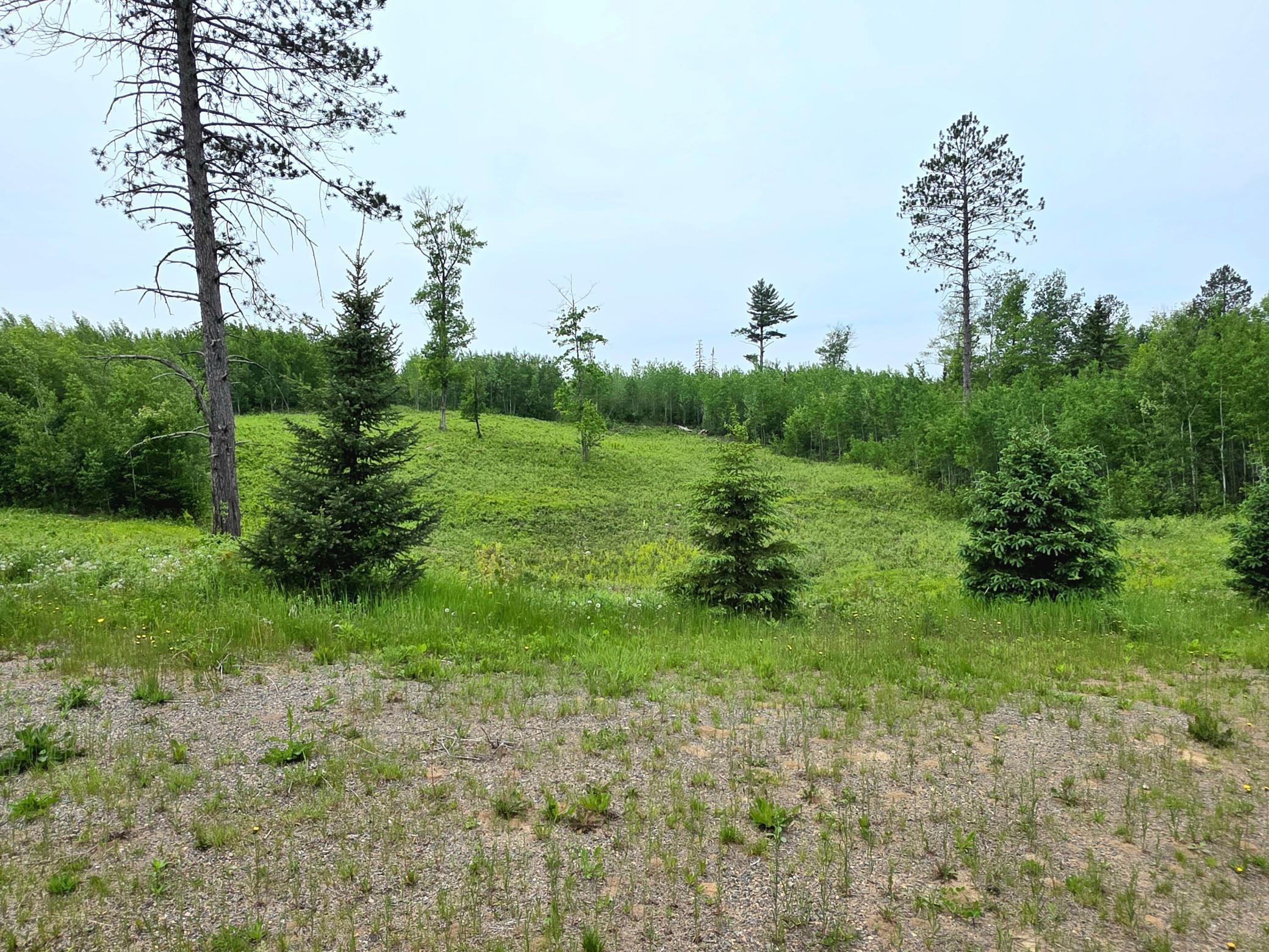 18131 County Road 433, Swan River, Minnesota image 5