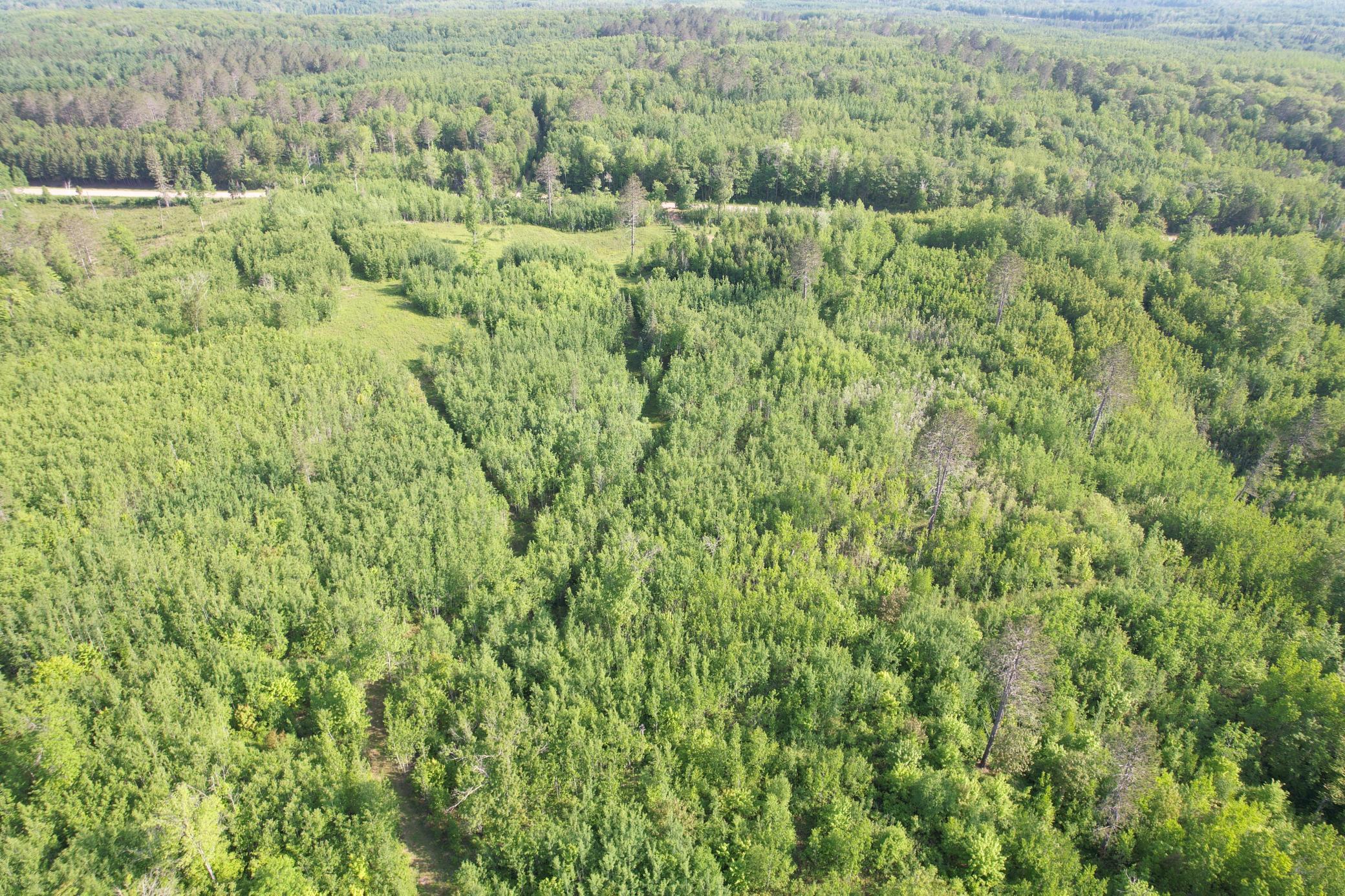18131 County Road 433, Swan River, Minnesota image 12