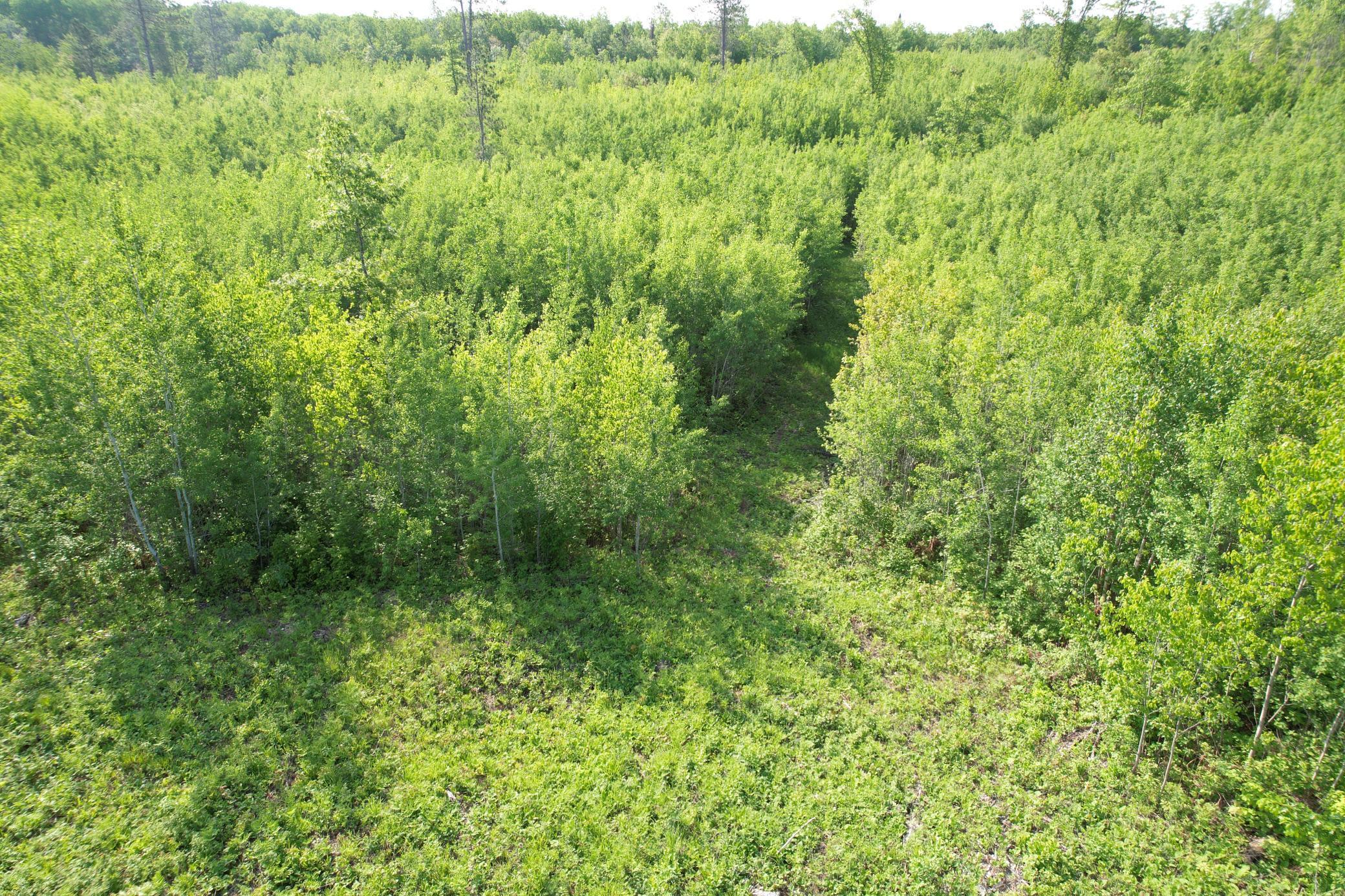 18131 County Road 433, Swan River, Minnesota image 14