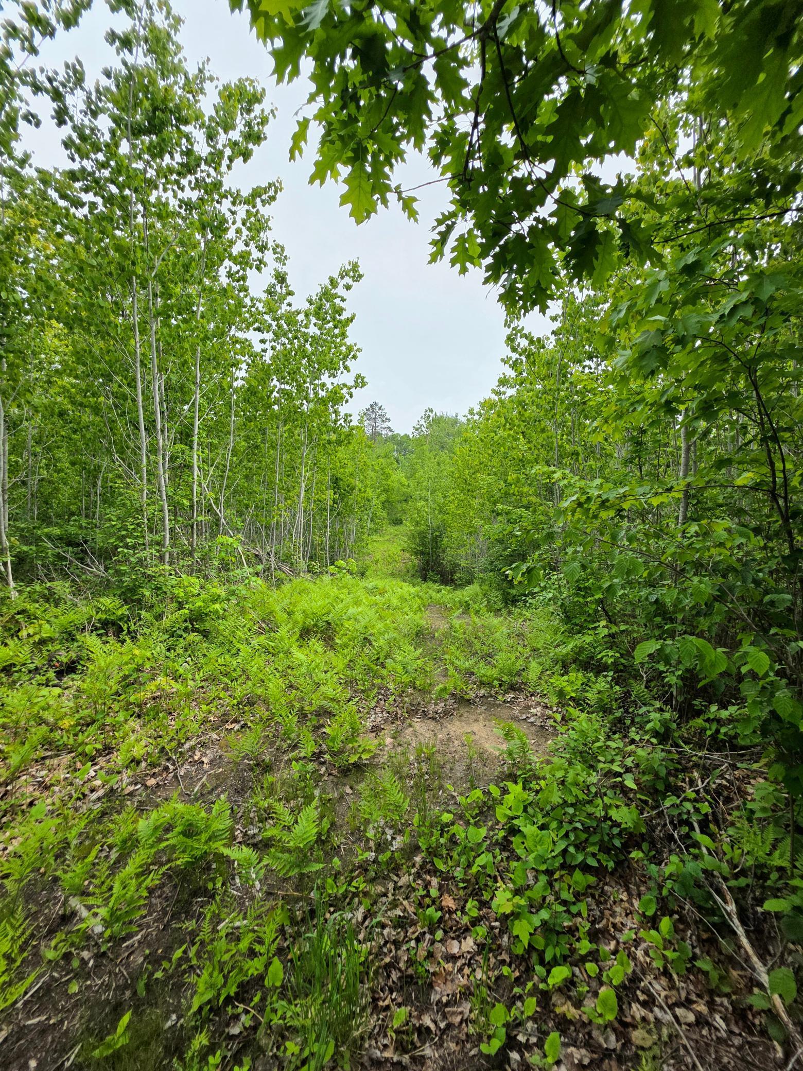 18131 County Road 433, Swan River, Minnesota image 9