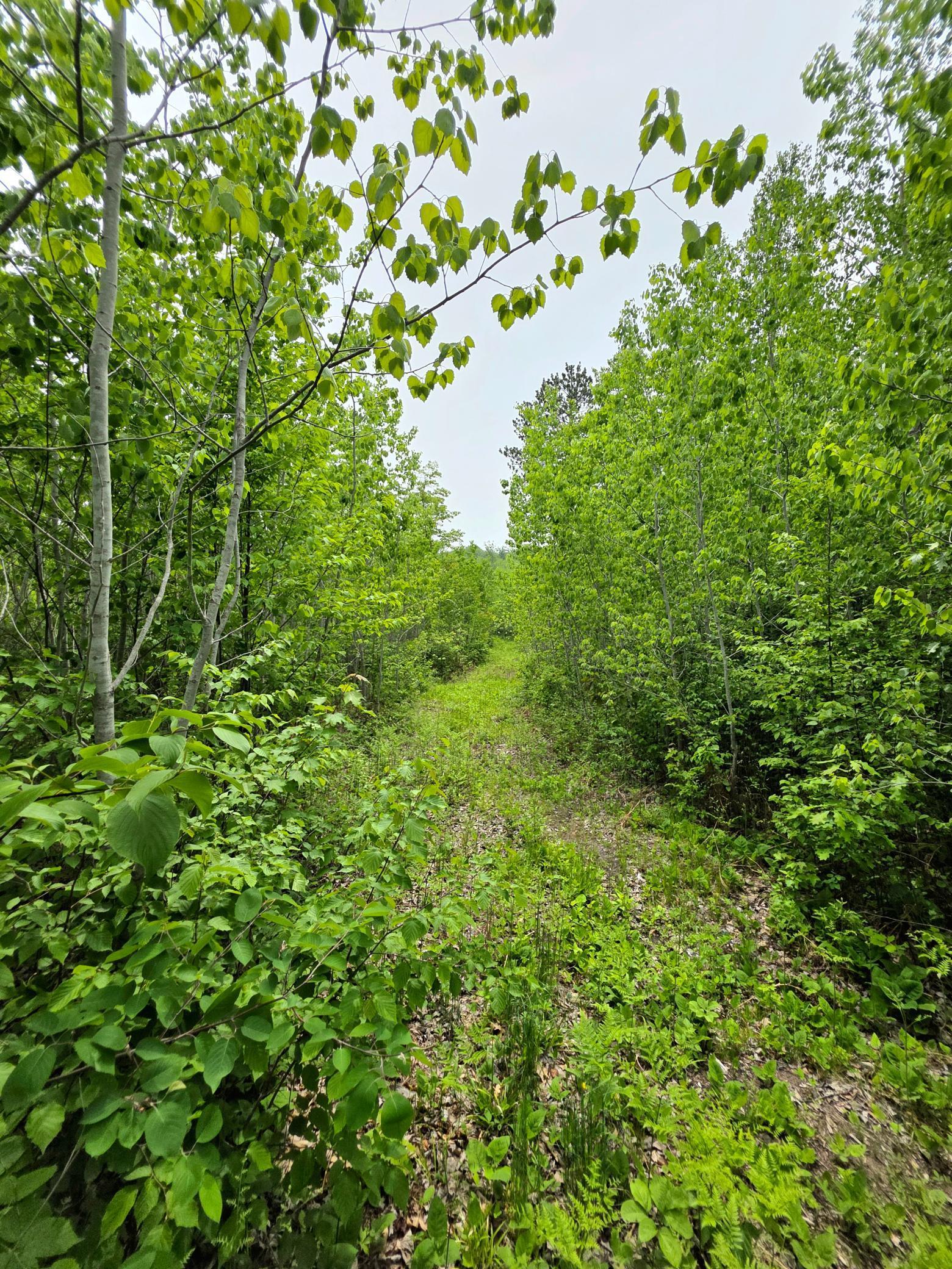 18131 County Road 433, Swan River, Minnesota image 7