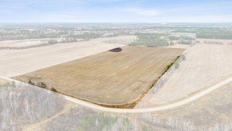 Vacant Land For Sale - PARCEL NORTHWEST Hay Creek Road<br/> Pine River, MN 56474