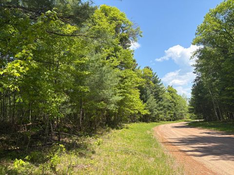 Vacant Land For Sale - XXXXX Eagle Drive<br/> Burnett County, Danbury, WI 54830
