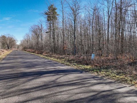 Vacant Land For Sale - LOT 14 Peninsula Road<br/> Sawyer County, Hayward, WI 54843