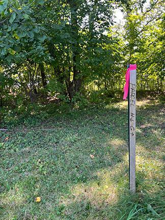 26140 Crystal Point Drive Parcel H, Pelican Rapids, Minnesota image 5