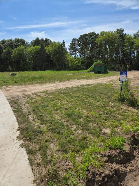 Vacant Land For Sale - 24188 Polk Street<br/> Bethel, MN 55005