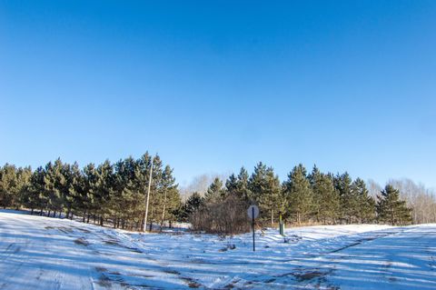 Vacant Land For Sale - TBD 310th Street<br/> Otter Tail County, Deer Creek, MN 56527