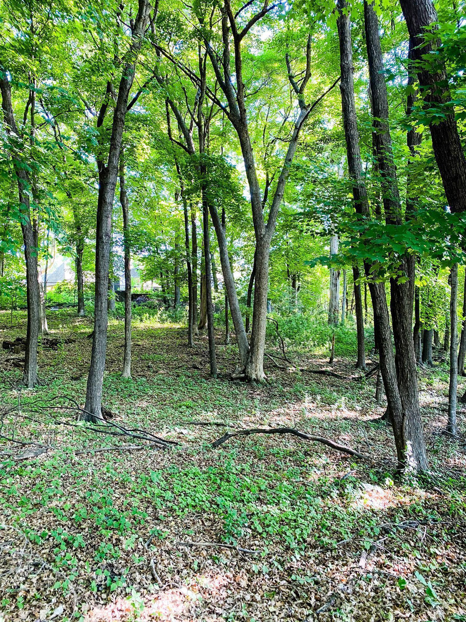254 Bushaway Road, Wayzata, Minnesota image 49