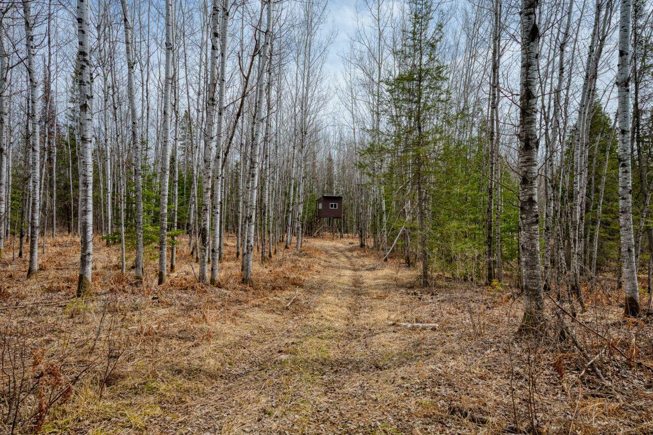 5303 Markham Road, Makinen, Minnesota image 22
