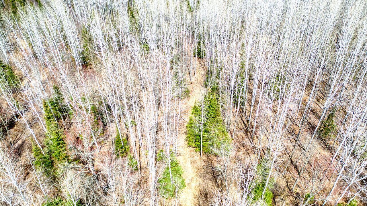 5303 Markham Road, Makinen, Minnesota image 35
