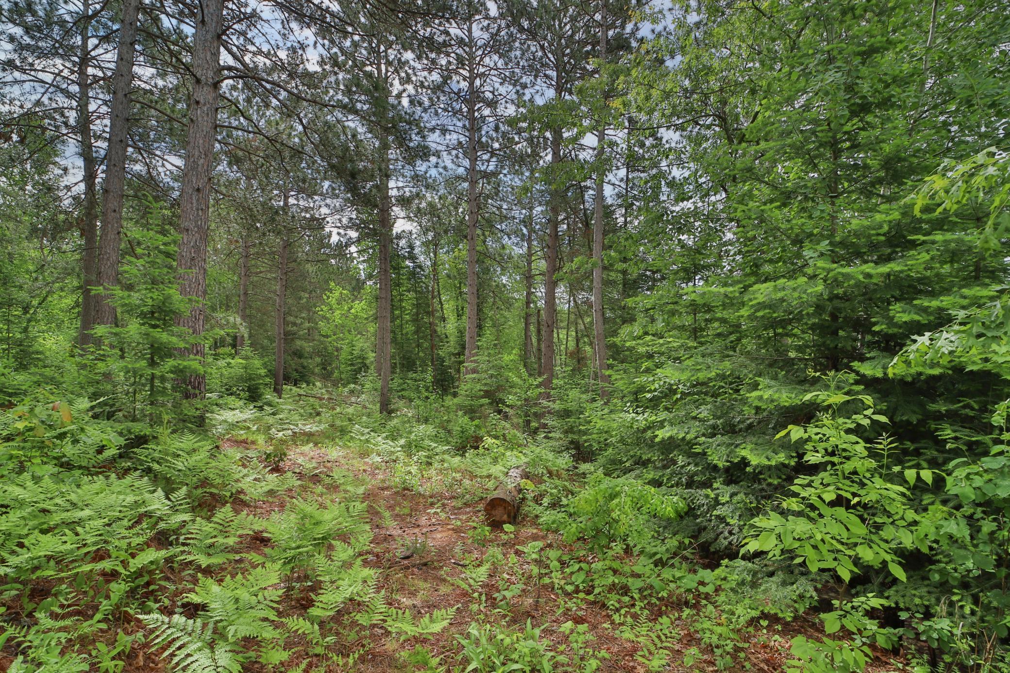 21097 Gilmer Road, Crosby, Minnesota image 35