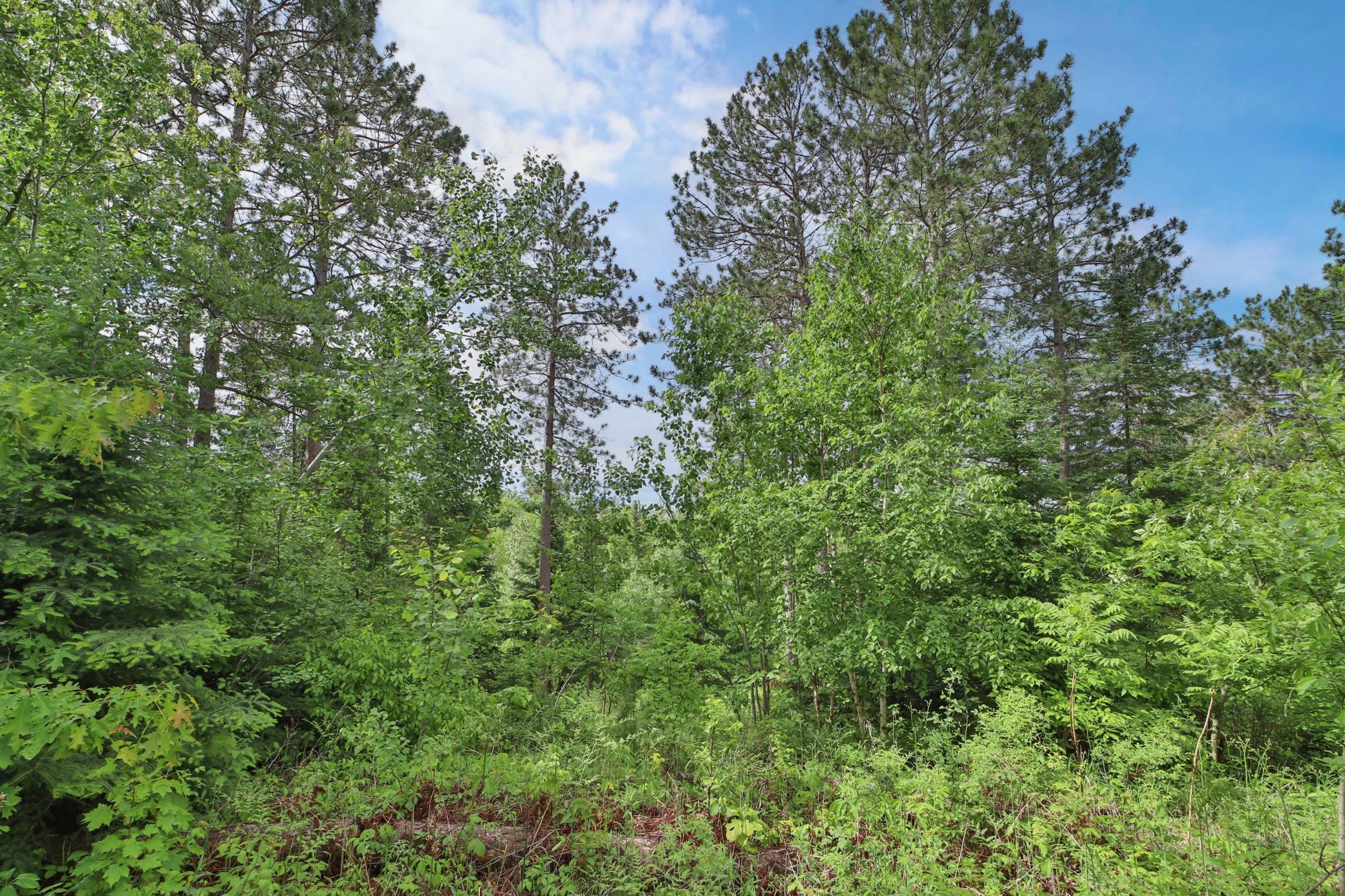 21097 Gilmer Road, Crosby, Minnesota image 36