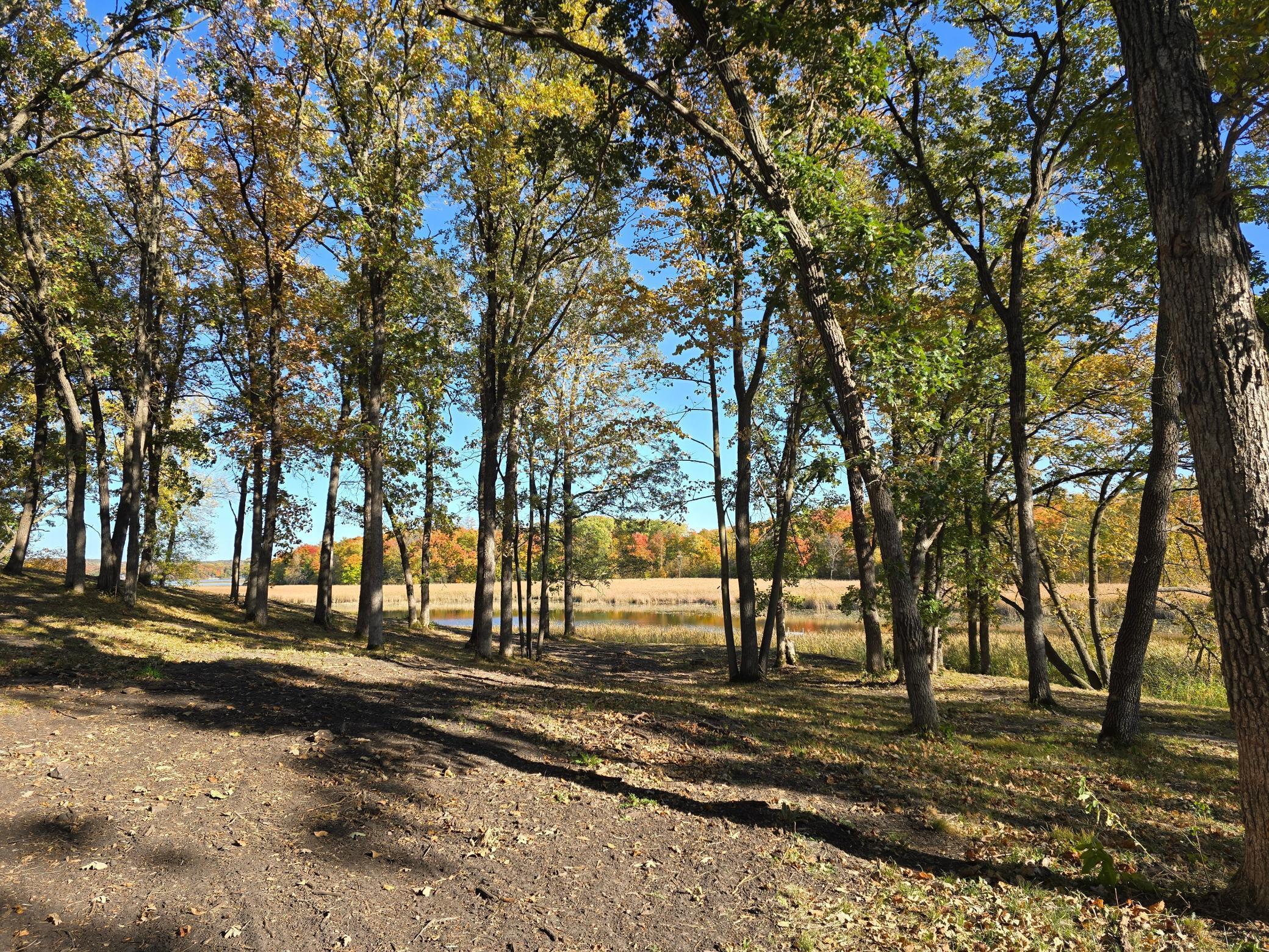 Tract M Blybergs Lane, Pelican Rapids, Minnesota image 42