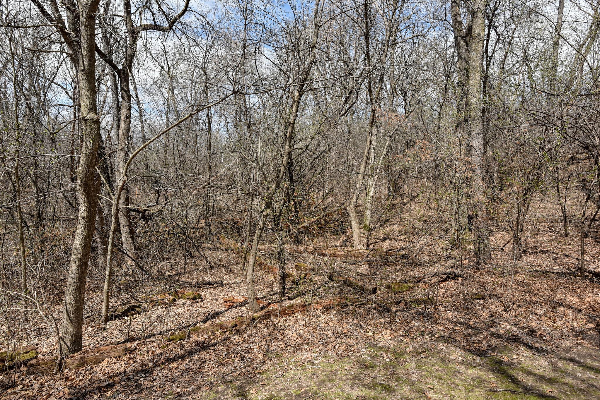 11473 199th Avenue, Elk River, Minnesota image 38