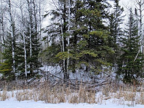 Vacant Land For Sale - TBD County Road 91<br/> International Falls, MN 56649