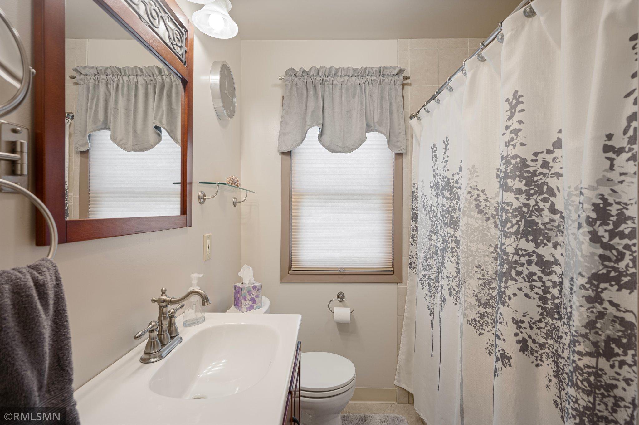971 Lovell Avenue, Roseville, Minnesota image 14