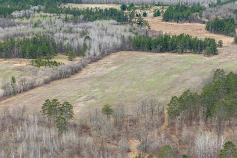 Vacant Land For Sale - TBD 32nd Avenue<br/> Backus, MN 56435