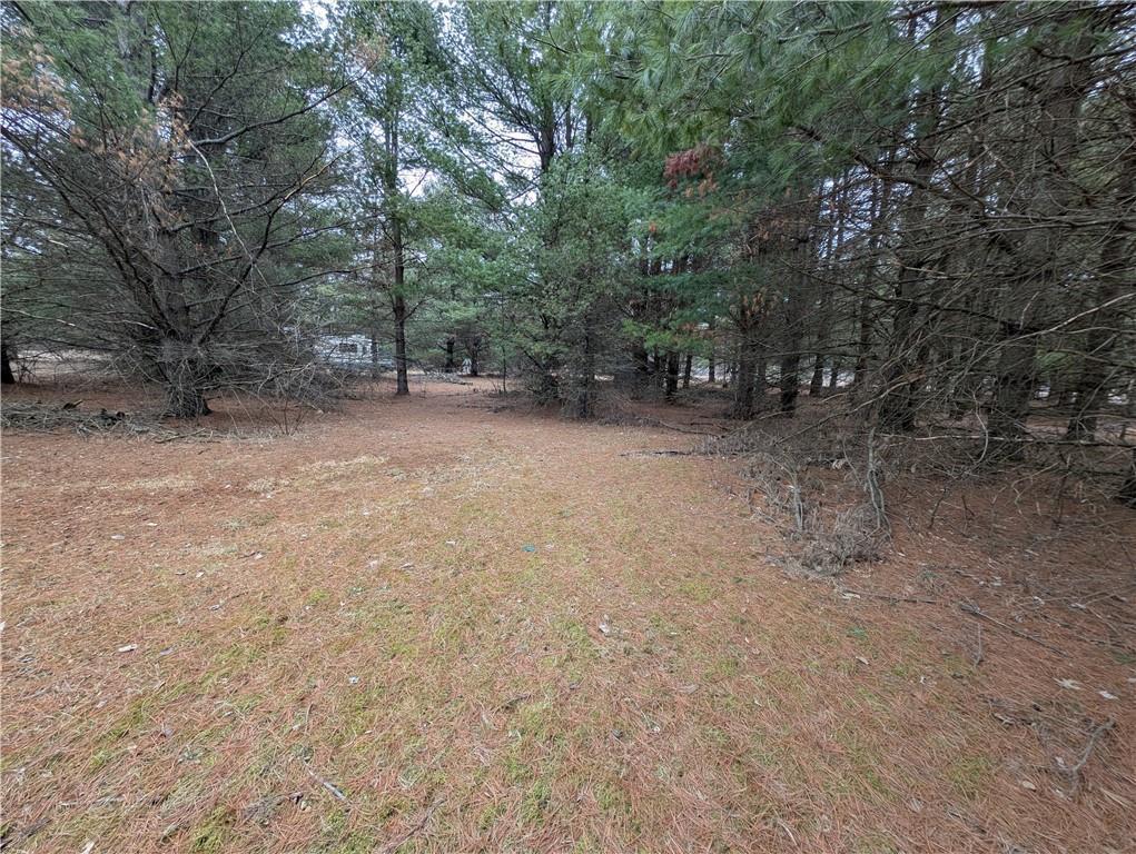 29188 297th Avenue, Holcombe, Wisconsin image 2