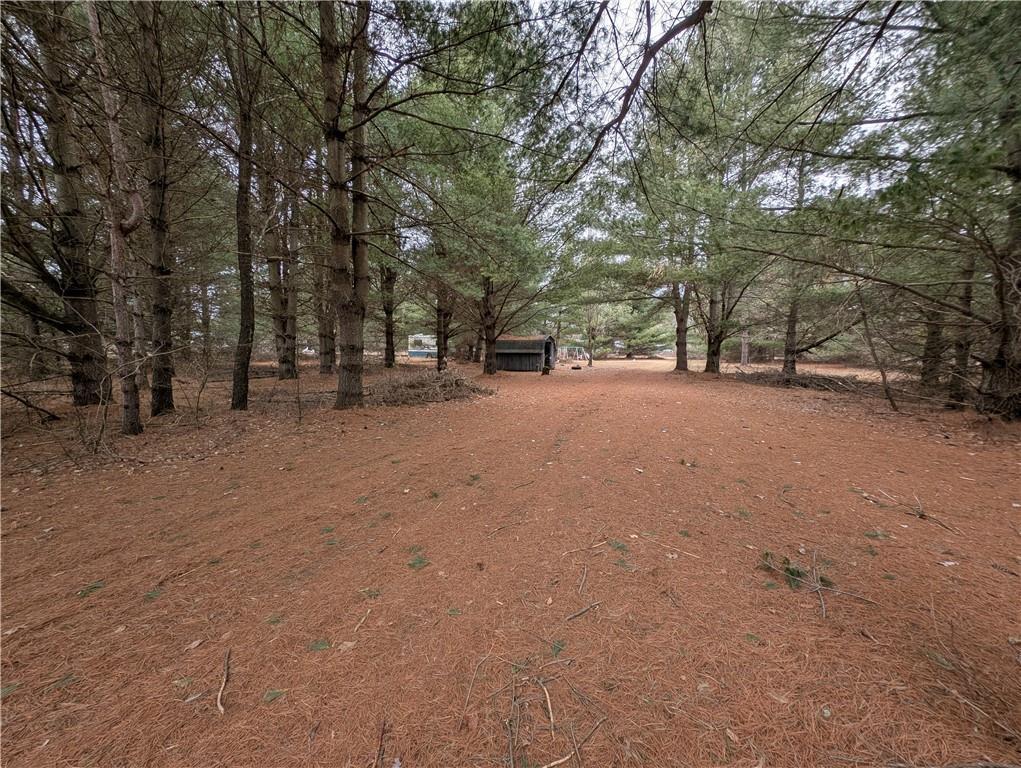 29188 297th Avenue, Holcombe, Wisconsin image 11