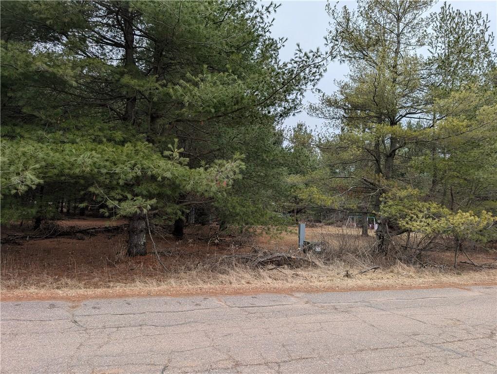 29188 297th Avenue, Holcombe, Wisconsin image 12