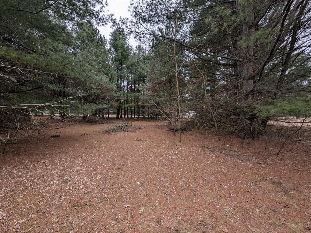 29188 297th Avenue, Holcombe, Wisconsin image 4