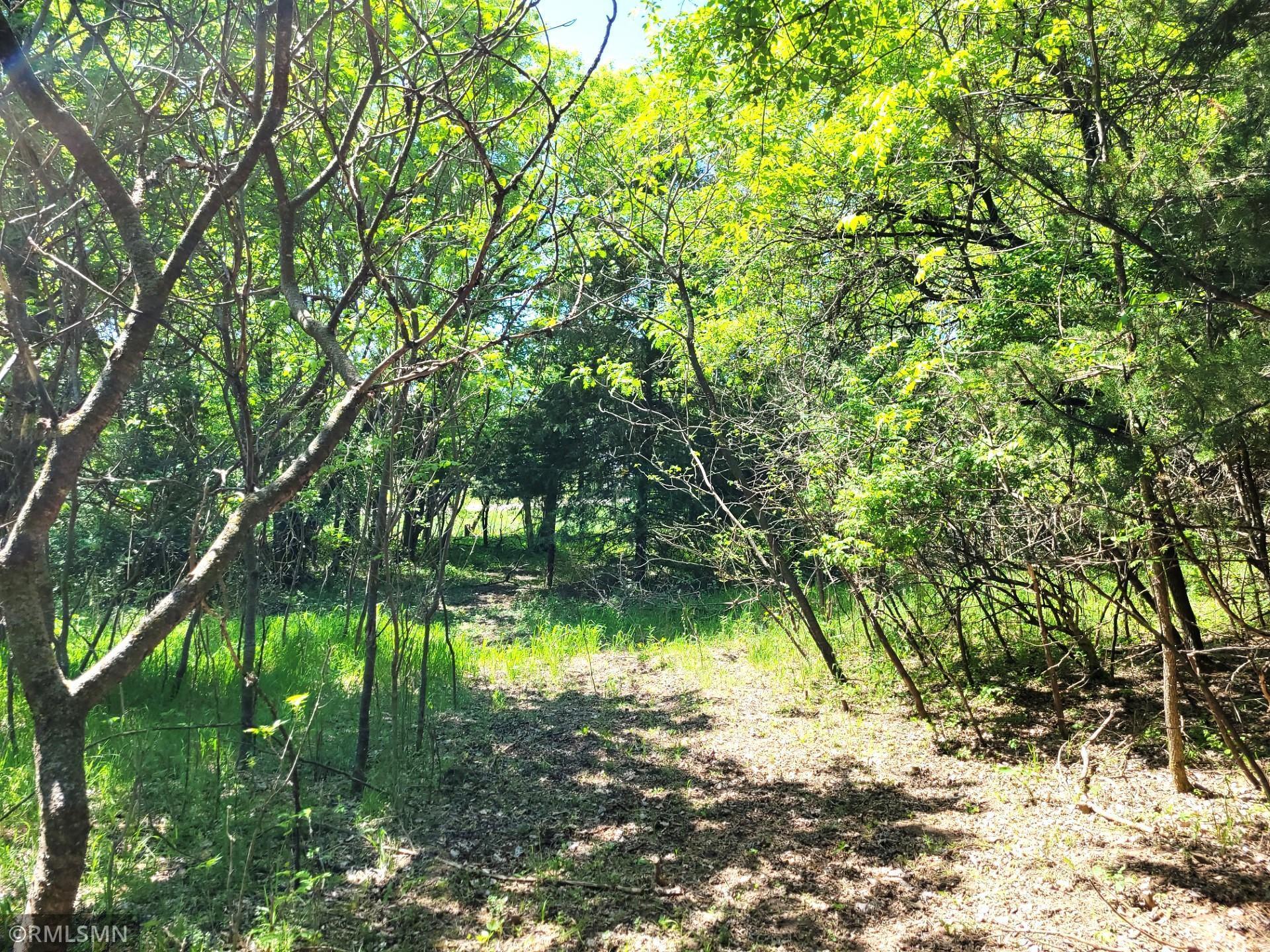 14XXX County Road 44, South Haven, Minnesota image 14