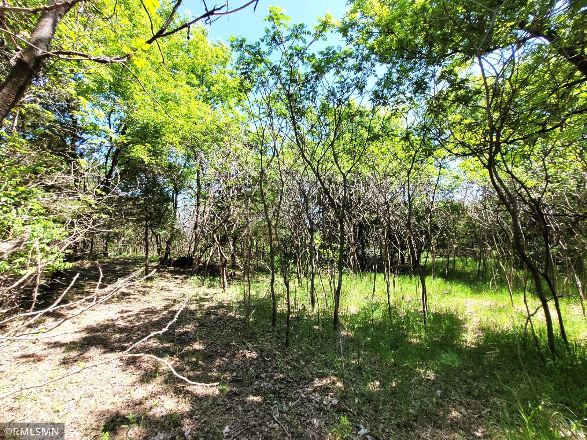 14XXX County Road 44, South Haven, Minnesota image 8