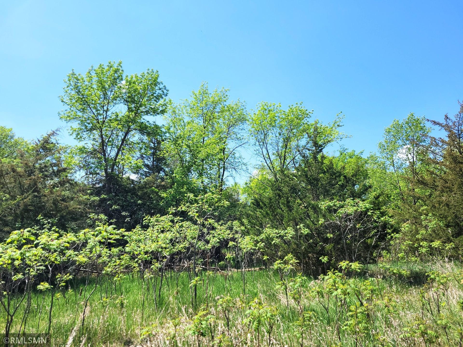 14XXX County Road 44, South Haven, Minnesota image 17