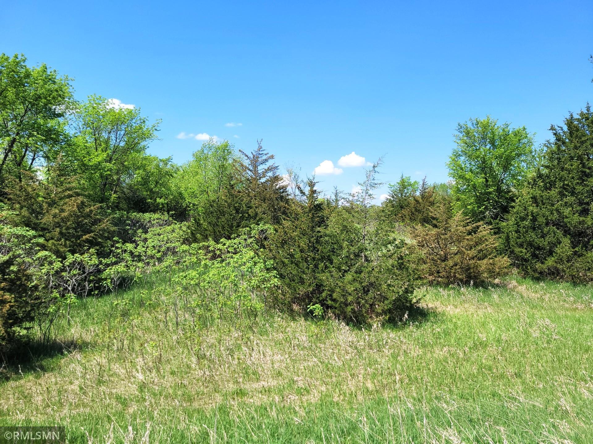 14XXX County Road 44, South Haven, Minnesota image 18