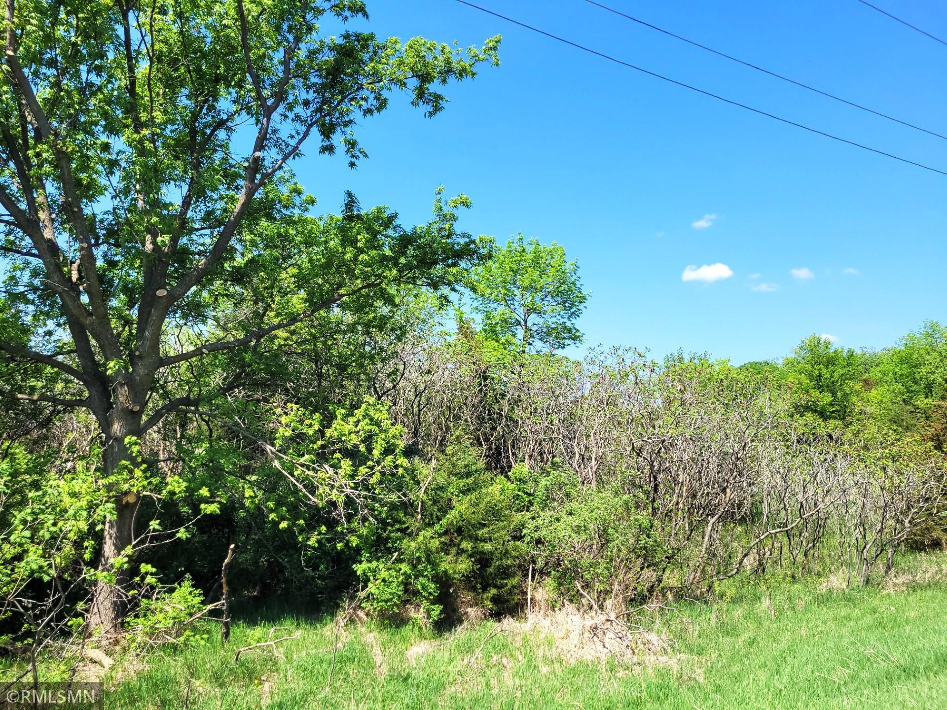 14XXX County Road 44, South Haven, Minnesota image 9