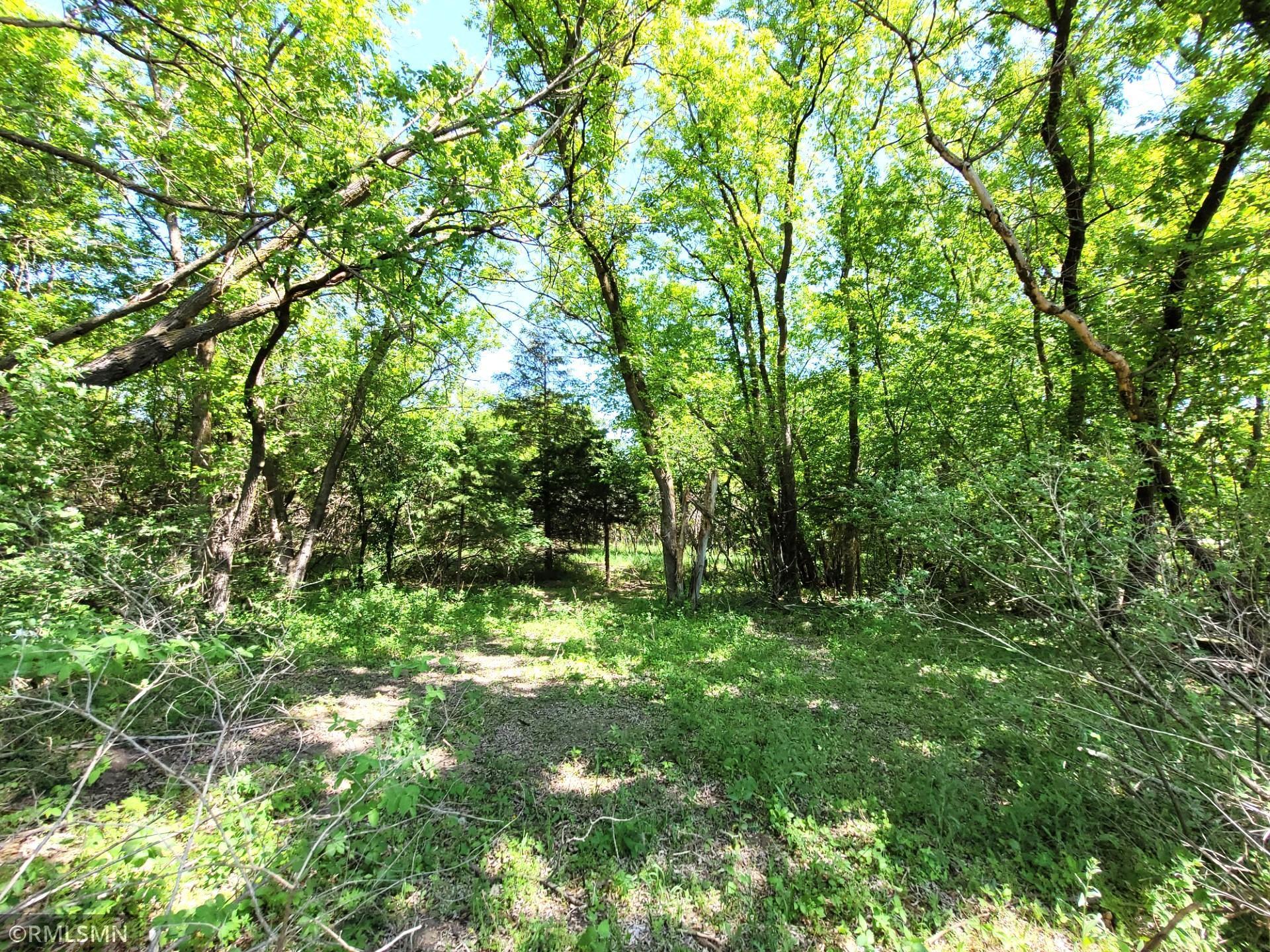 14XXX County Road 44, South Haven, Minnesota image 11