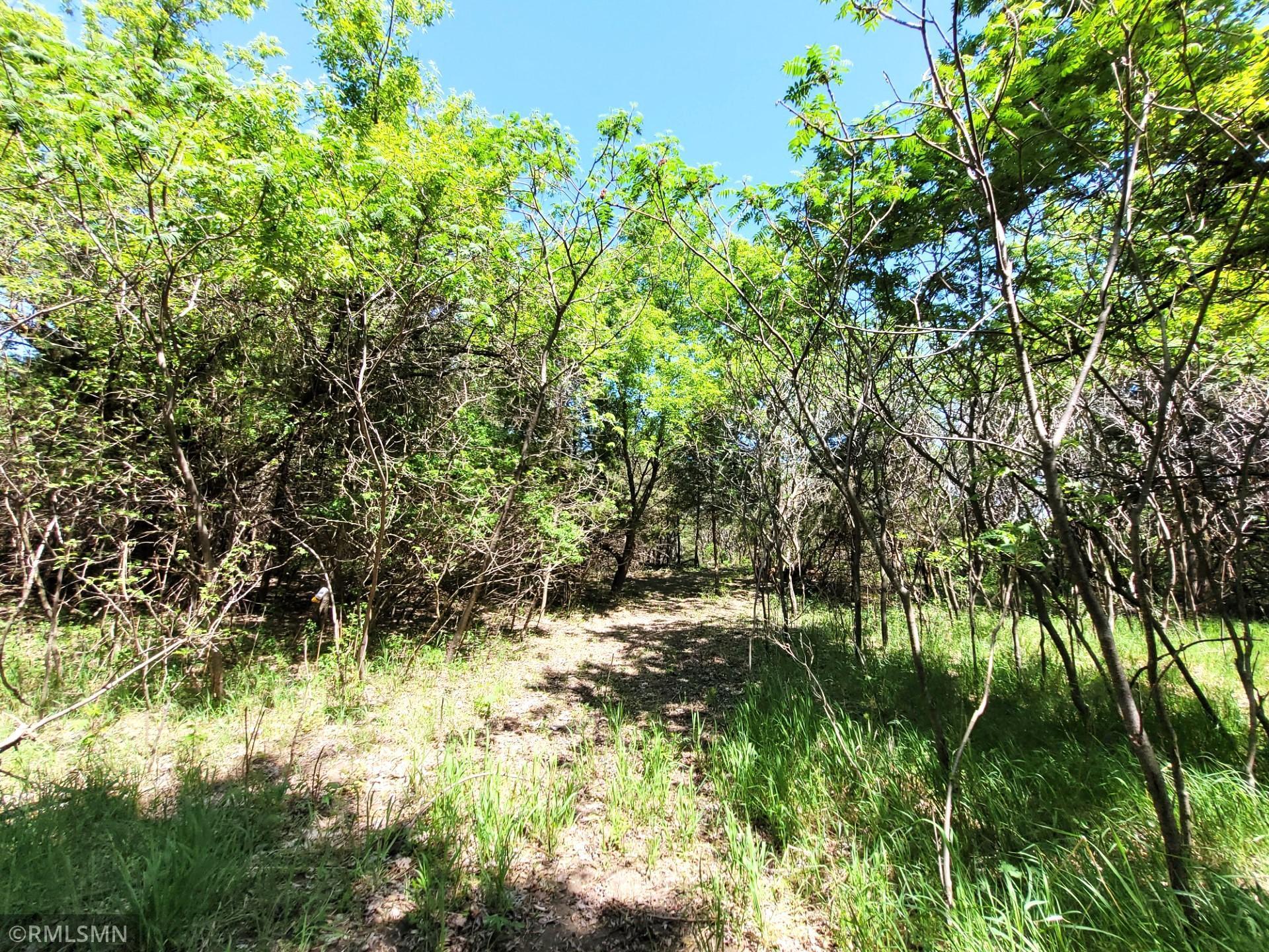 14XXX County Road 44, South Haven, Minnesota image 6