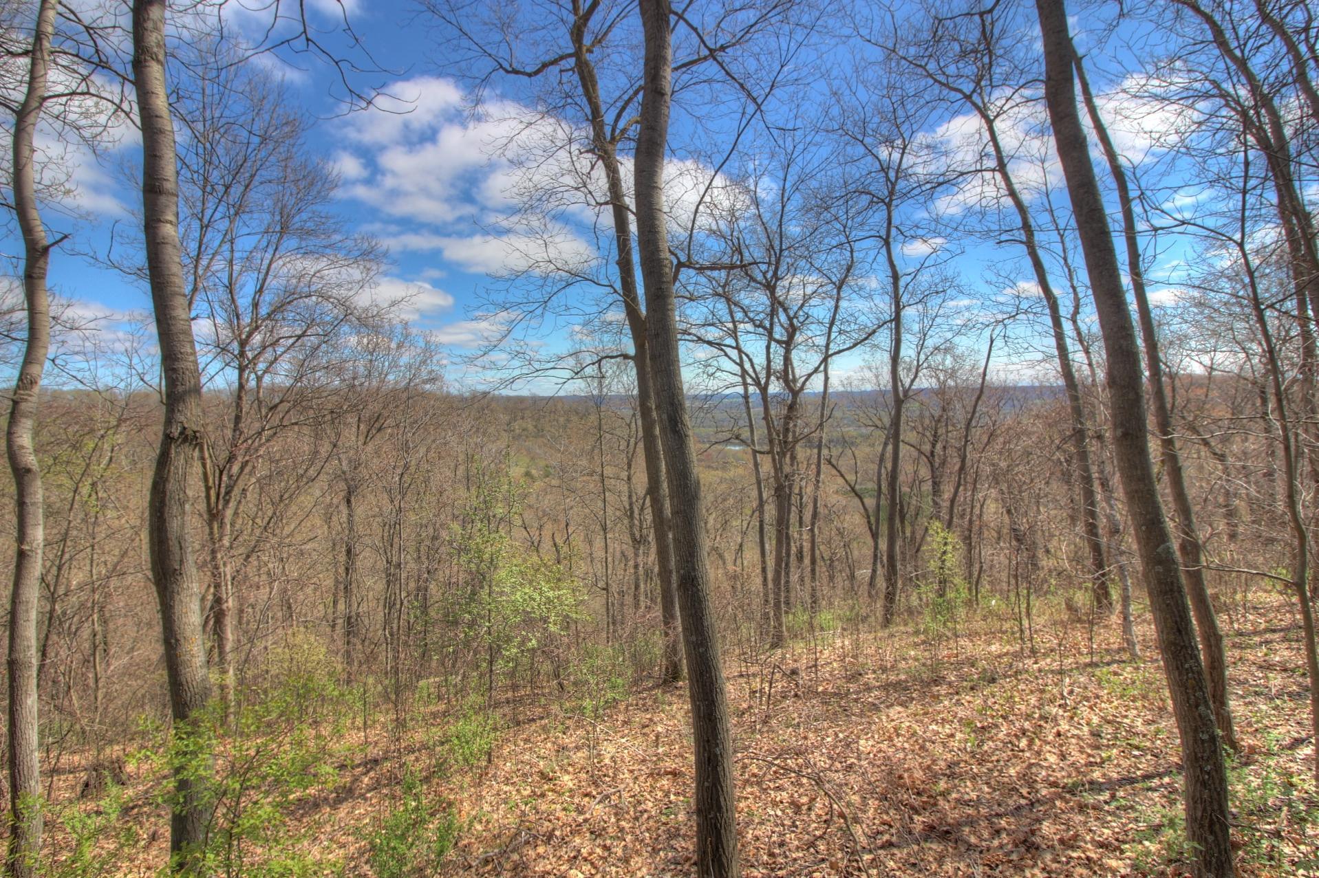 W8387 Brown Lane, Pepin, Wisconsin image 3