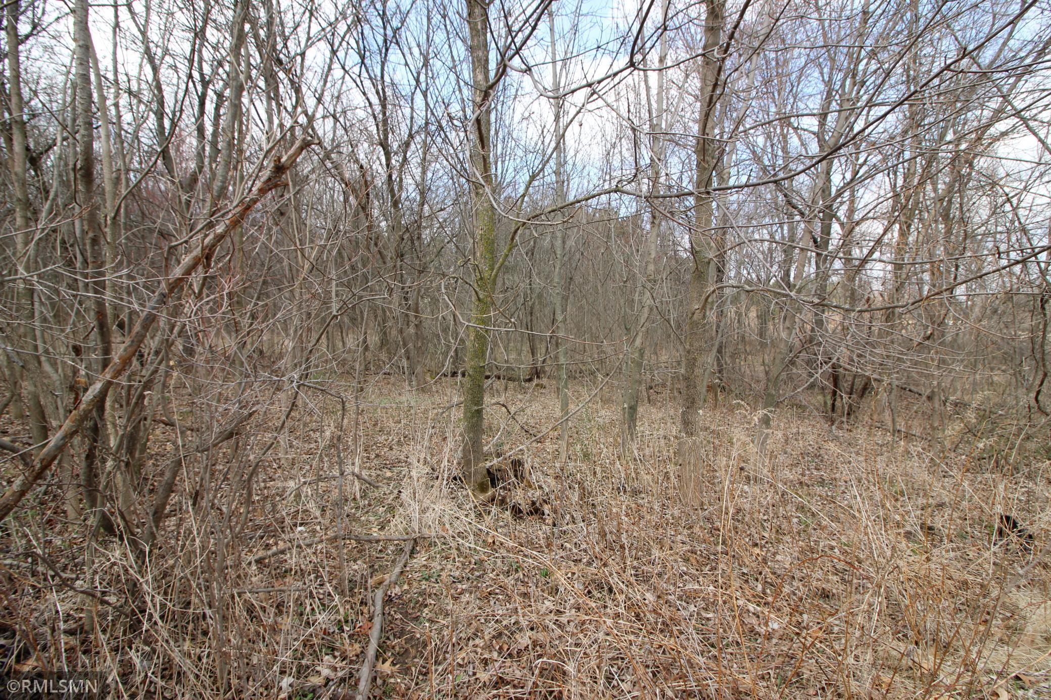 XXX 690th Street, River Falls, Wisconsin image 4