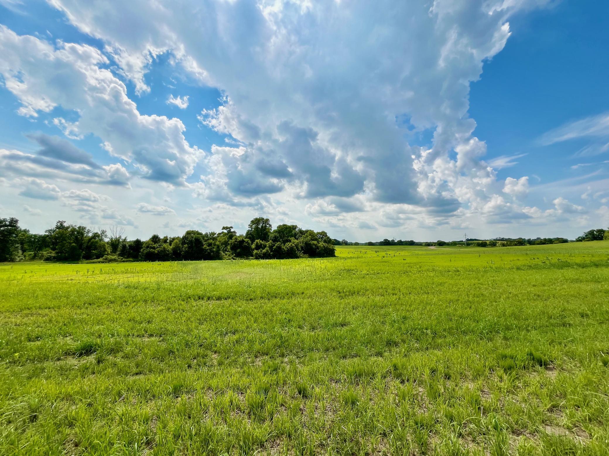 Lot 8 Block 3 River View Trail, Pelican Rapids, Minnesota image 8